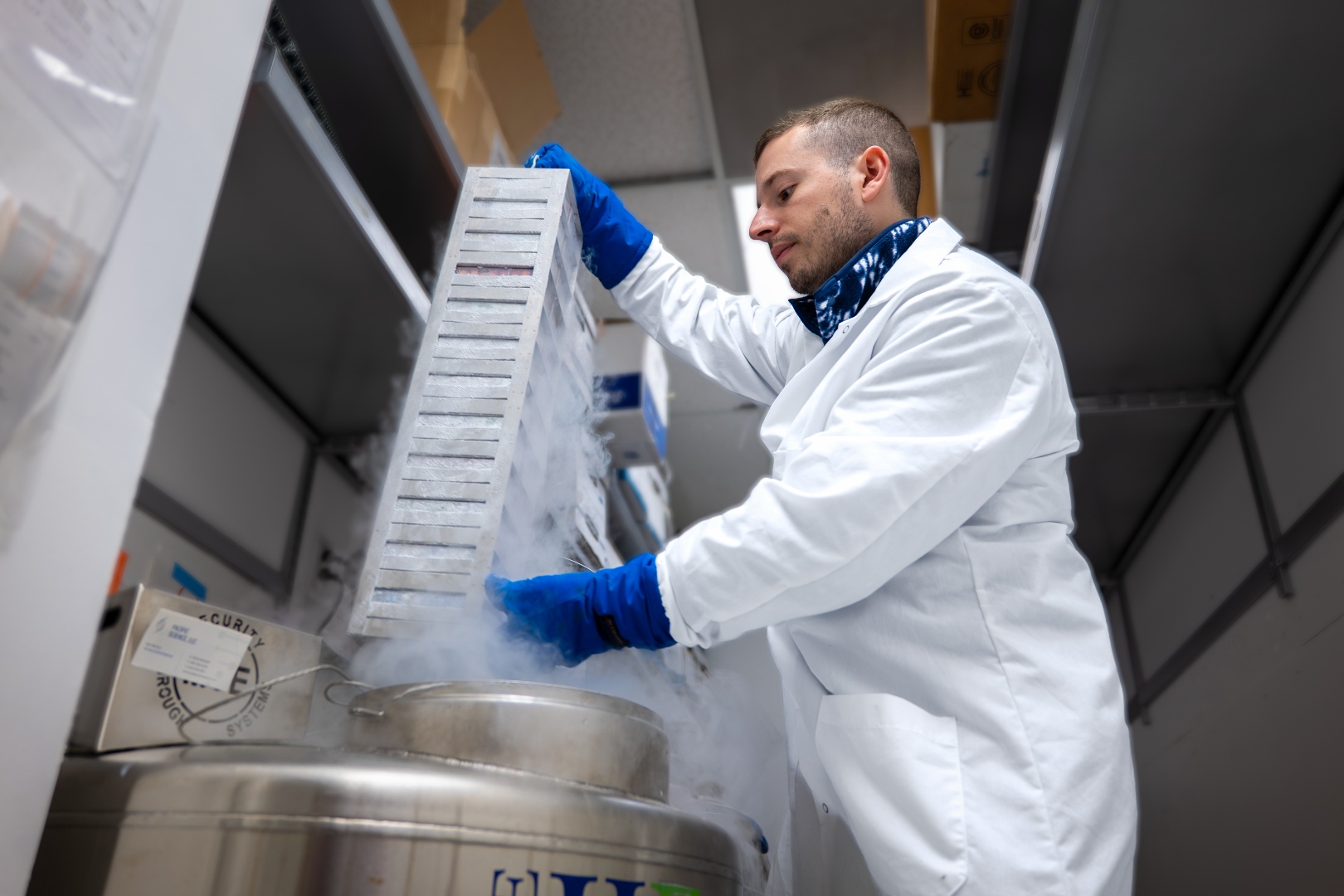 Nicholas working in the lab with cryogenic sample storage